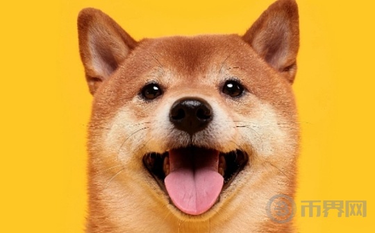 狗狗币(DOGE)年涨势看好:连续三个月上涨,能否再次创造2021年的暴涨行情?
